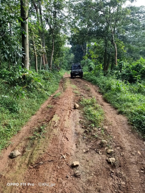 Fofo Jalan Rusak Parah di Desa Muryolobo arah ke Bategede.