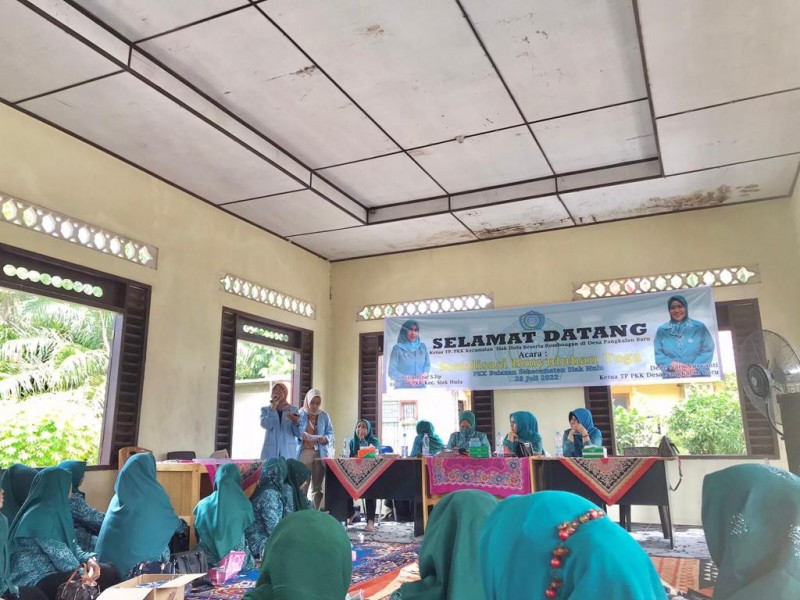 Pemaparan materi pemanfaatan TOGA oleh Mahasiswa KKN UNRI