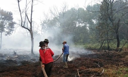 Karhutla Riau Sudah 5.306 Hektare, BPBD: Masih Terus Bertambah