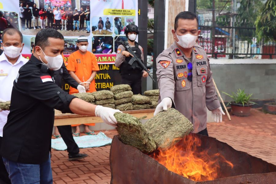 19 Kilogram Ganja Dimusnahkan di Mapolres Pasaman, Asap Tebal Mengepul di Lapangan Apel