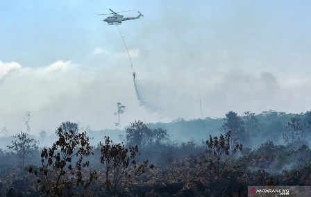 Karhutla Riau: Satgas Ajak Masyarakat Shalat Istisqa Meminta Hujan