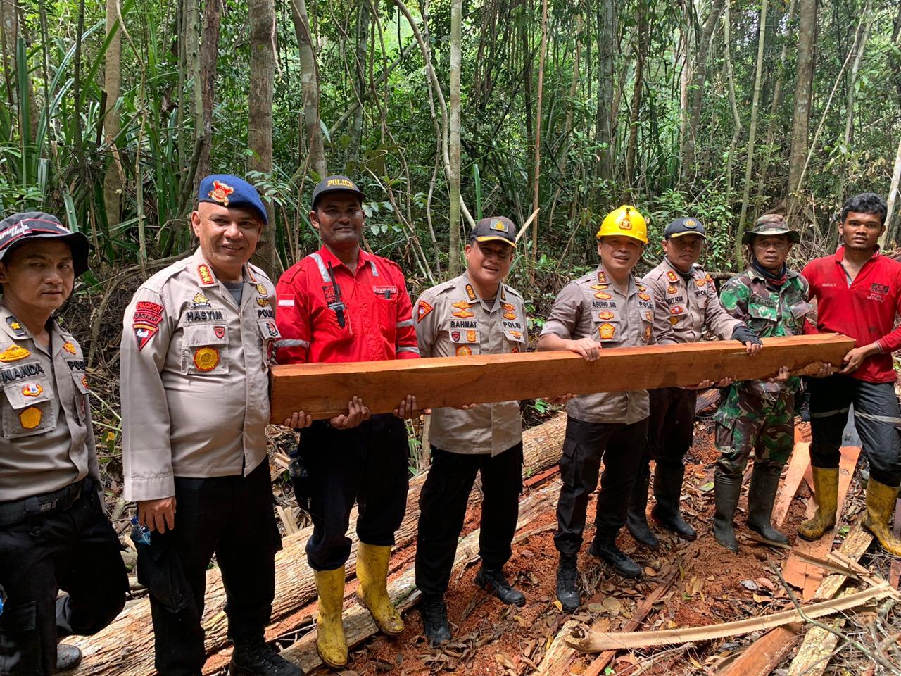 Kapolda Riau Komit Lawan Penjarah Kayu Hutan lalu Dijadikan Perkebunan 