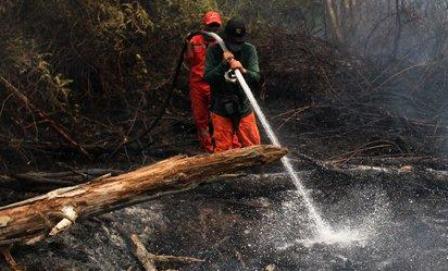 Guyuran Hujan Dua Hari Belum Mampu Memadamkan Kebakaran Lahan di Riau 