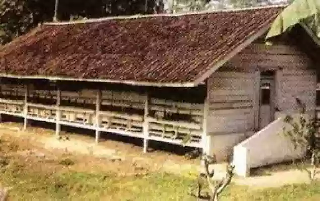 Wabah Lalat Serbu Rumah Penduduk, Warga Kemuning Inhil Protes Keberadaan Kandang Ayam