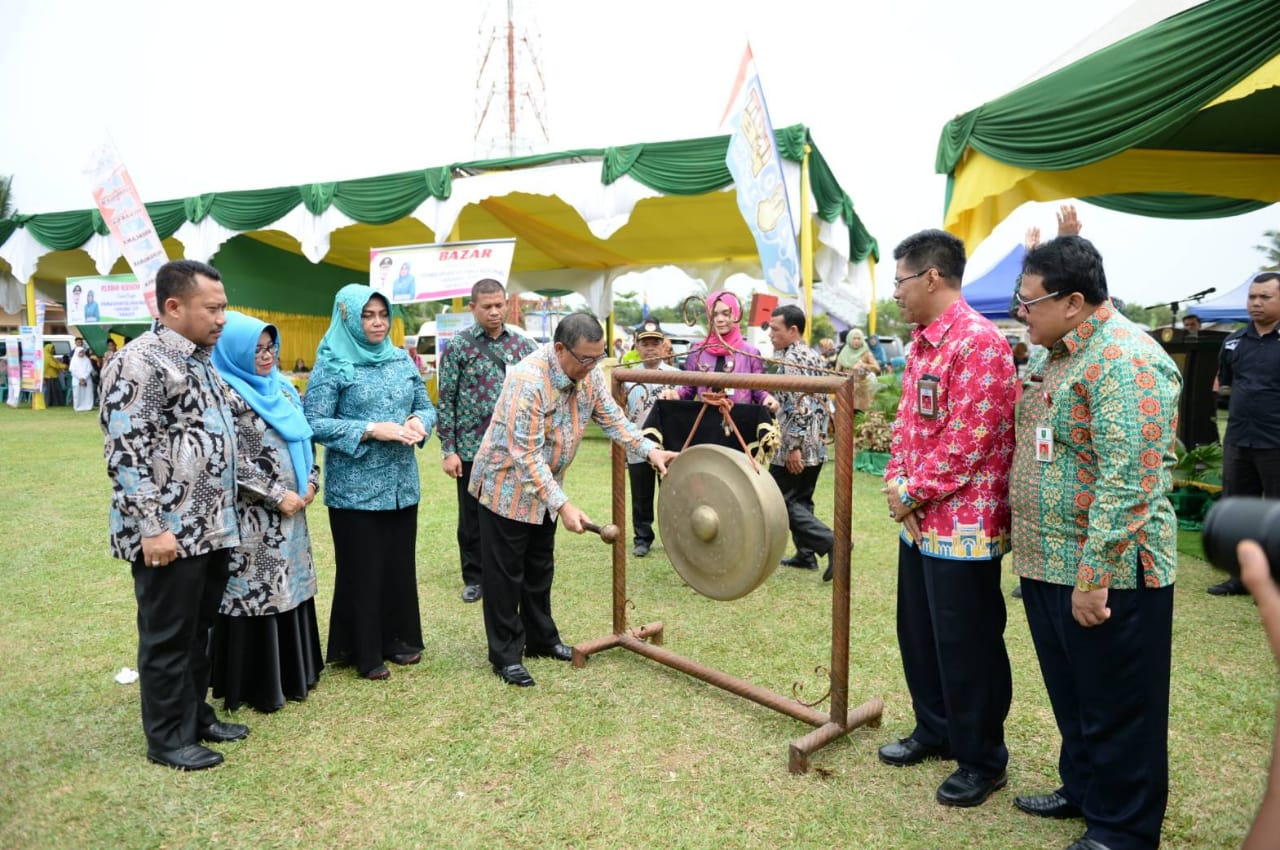 Hadiri Harganas XXVI 2019 DiKampar, Wagubri Berpesan Pentingnya Keluarga Bangun Komunikasi