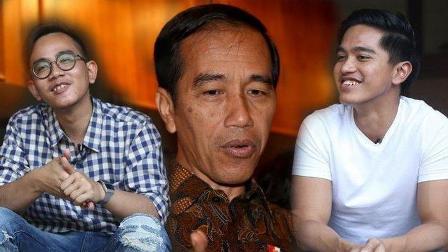Politikus PKB: Warga Solo Apresiasi Gibran dan Kaesang