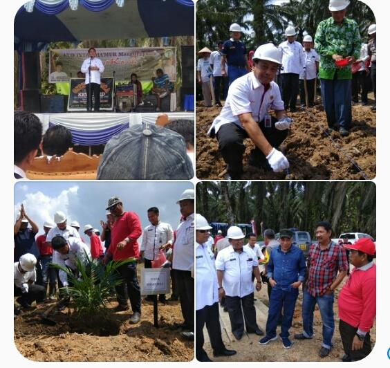 Sekda Wakilkan Bupati Rohul Tanam Perdana Sawit Rakyat Program Nasional