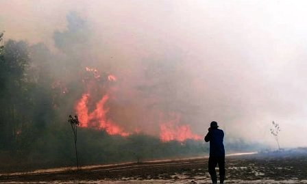 Kebakaran Hutan TNTN Riau Setelah Kunjungan Kapolda dan Wakil Komandan Satgas Karhutla 