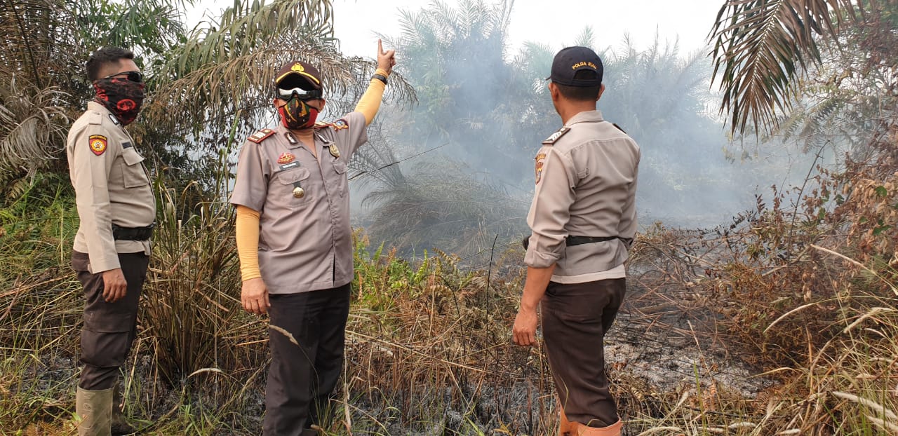 Pelaku Karhutla, Kapolsek Kemuning: Jika Terbukti Tidak Ada Ampun
