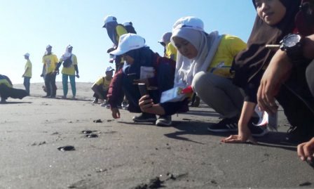 Tiga Puluh Peserta SMN Riau Melepas Tukik di Pantai Pelangi Bantul 