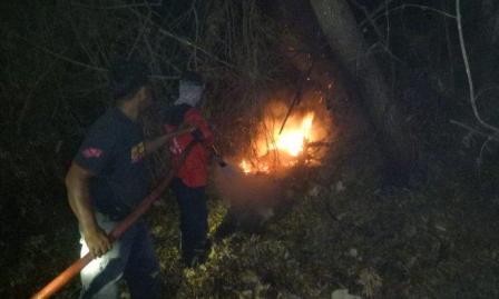 Guyuran Hujan Bantu Padamkan Api di Lahan PT Ekawana yang Terbakar Sejak Jumat Lalu