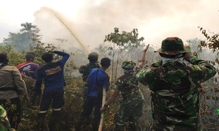 Karhutla Belum Mengkhawatirkan, Gubernur Riau: Kalau Mengkhawatirkan Asap Banyak