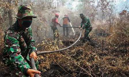 BMKG: Hotspot di Provinsi Riau Melonjak Jadi 53 Titik