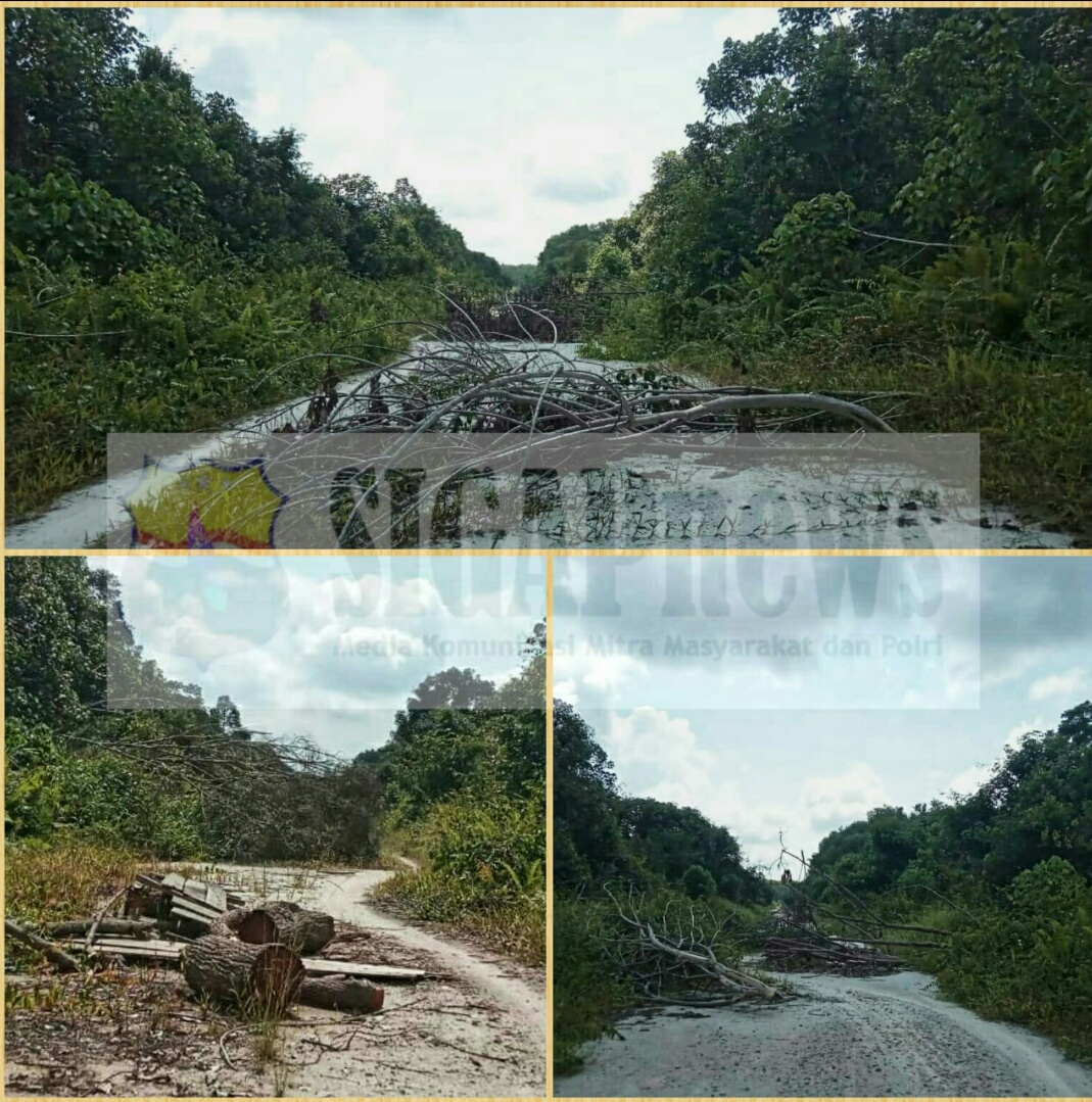 PT RAPP Tak Kunjung Realisasikan Tanaman Kehidupan Di Lukit