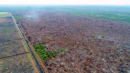 Karhutla di Riau Terpantau 165 Titik