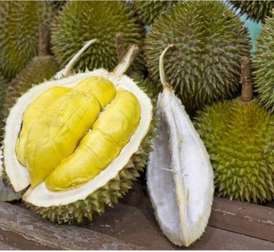 Cuma Voucher Seharga 50.000, Makan Duren Sepuannya, Cuma Ada Di Pasar Seribu Duren Rokan Hulu