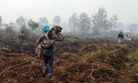 Kebakaran Lahan di Inhil Pesisir Riau Terus Meluas