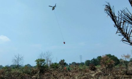 BNPB Kerahkan Helikopter Mom Air Padamkan Kebakaran Lahan di Siak
