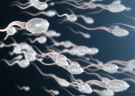  Ini 10 Makanan Untuk Tingkatkan Kualitas Sperma Pria ?