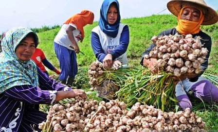 Pengamat: Pilihan Paling Bijak Meng-'hold' Izin