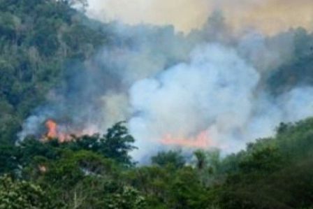 BMKG: Diwilayah Sumatera 269 Hotspot, Di Riau ada 130 titik