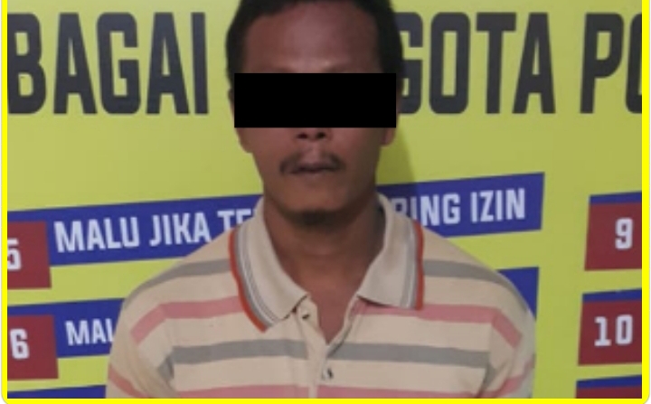 Polsek Kabun Tangkap Pelaku Pencabulan Di Desa Aliantan 