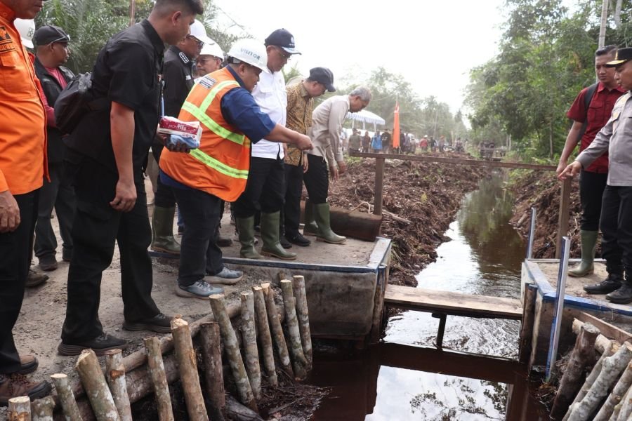 APP Group Perkuat Tata Kelola Gambut Cegah Karhutla, Menteri LH Turun ke Pelalawan