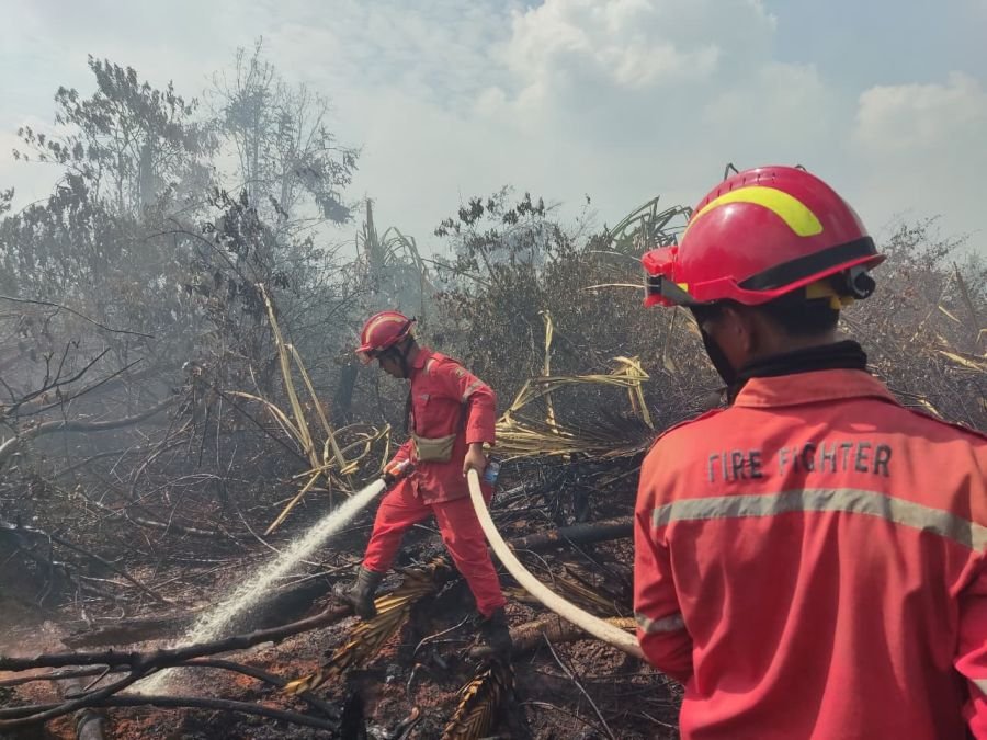 Arara Abadi Kerahkan 3 Heli, 1,5 Juta Liter Air Padamkan Karhutla Di luar konsesi 