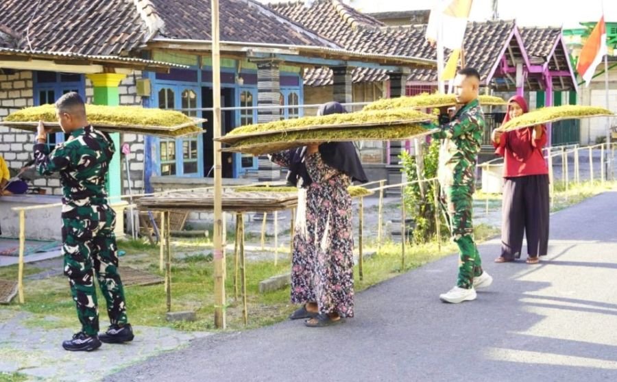 Cerita Kehangatan Satgas TMMD 129 Bojonegoro Bantu Olah Tembakau Petani Kesongo 