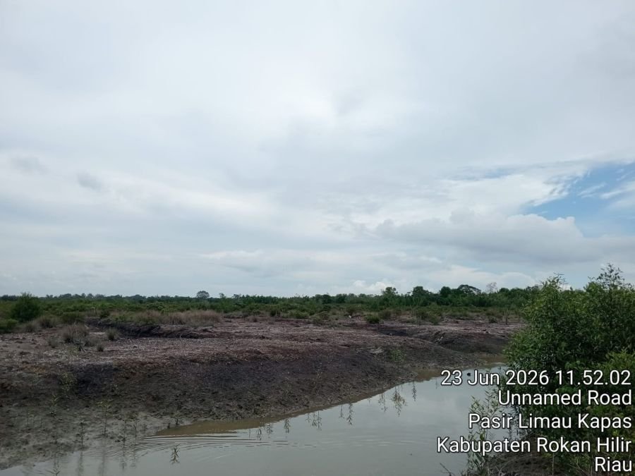 Polres Rohil Selidiki Dugaan Perambahan Mangrove, Dua Alat Berat Diamankan