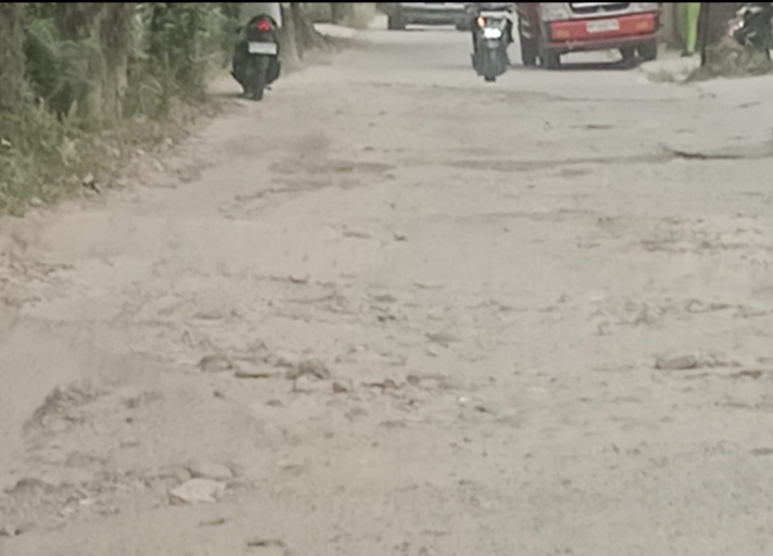 Jalan Karya Indah Rusak Parah, Warga Minta Walikota Turun Tangan