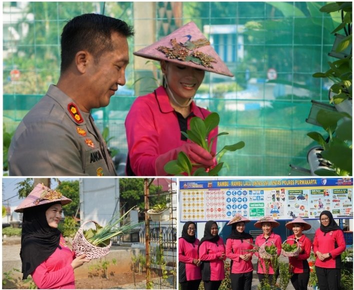 Kapolres Bersama Bhayangkari Purwakarta Panen Sayur dan Ikan dari Kebun Ketahanan Pangan