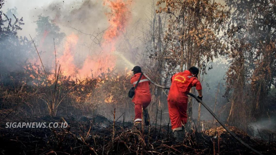 Karhutla Indonesia Masih Mengancam Meski Titik Panas Turun