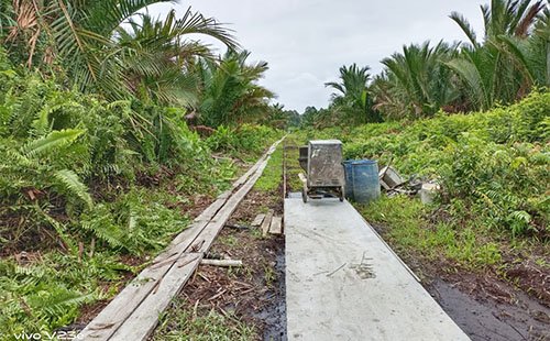 Kebijakan Penerimaan Karyawan PT NSP Sago Prima Dipertanyakan