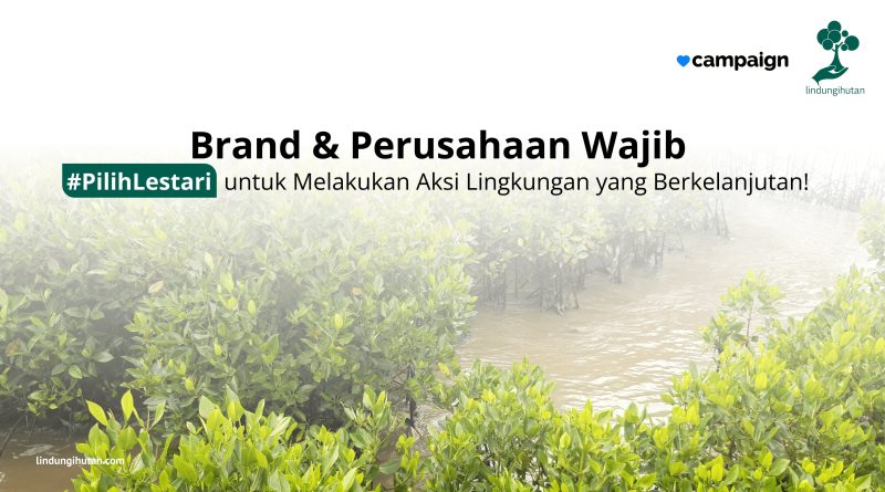 Kerja Sama dengan Campaign, LindungiHutan Ajak Brand dan Perusahaan Terlibat Program #PilihLestari