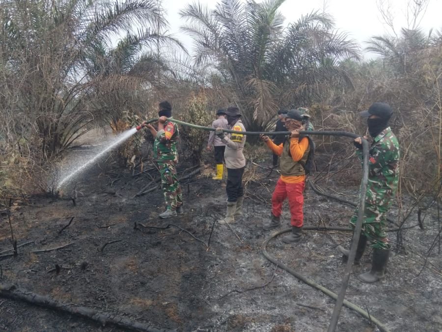 Kodam XIX Tuanku Tambusai Gerak Cepat Padamkan Karhutla di Toro Jaya