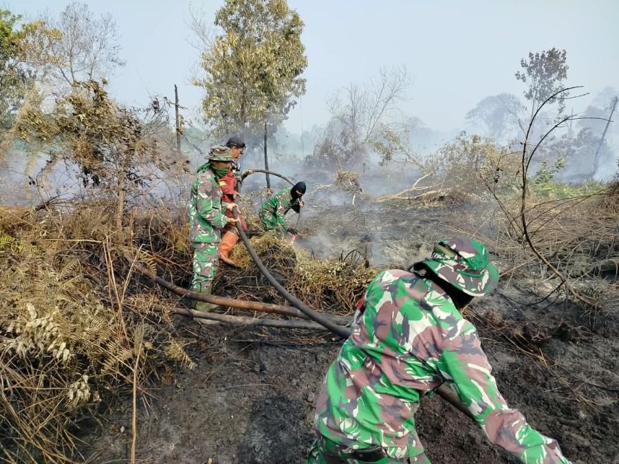 Kodam XIX Tuanku Tambusai Perkuat Penanganan Karhutla, 14 Hektare Lahan di Kampar Terbakar