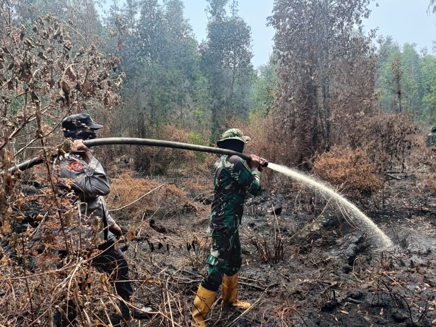 Kodam XIX/TT Perketat Pendinginan Karhutla, 966 Hektare Lahan Dipadamkan