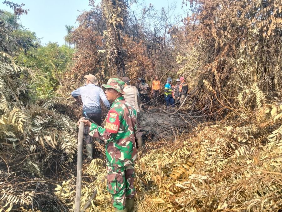 Kodam XIX/Tuanku Tambusai Cegah Api Kembali Muncul, Prajurit Sisir Lahan Gambut di Inhil