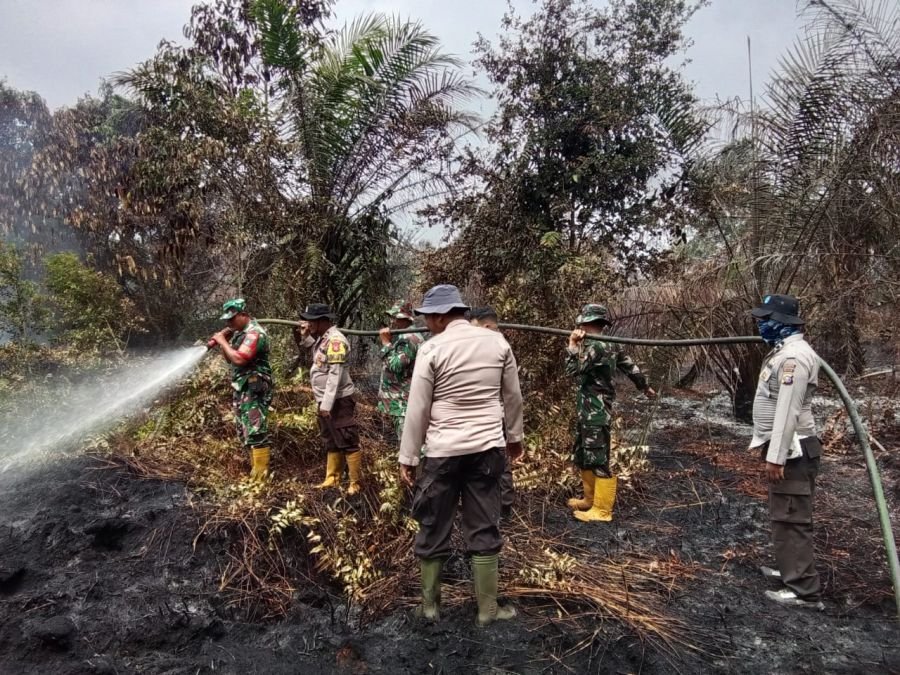 Kodam XIX/Tuanku Tambusai Intensifkan Pendinginan Karhutla di Tiga Lokasi, Puluhan Hektare Lahan Ditangani