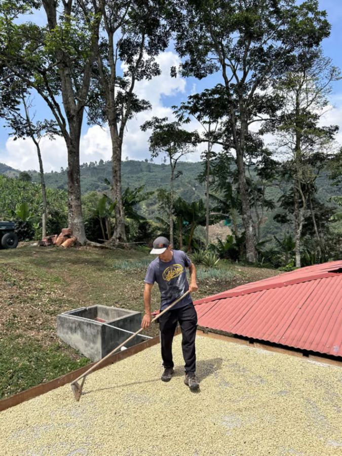 KOLTIVA Validasi Lebih dari 25.000 Petani Kopi di Amerika Selatan Secara Digital