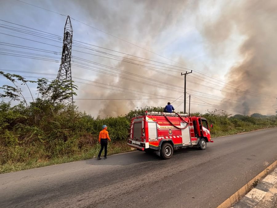 Kurang dari Dua Jam, Gerak Cepat PLN Amankan Kelistrikan Lampung Pasca Kebakaran Lahan