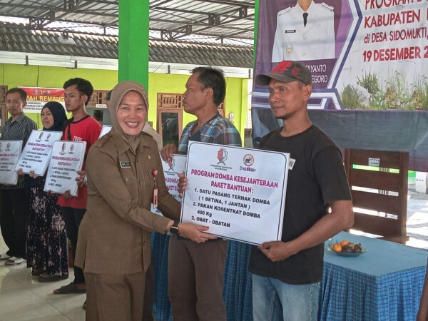Pemkab Bojonegoro Salurkan 2.640 Domba untuk Tekan Kemiskinan