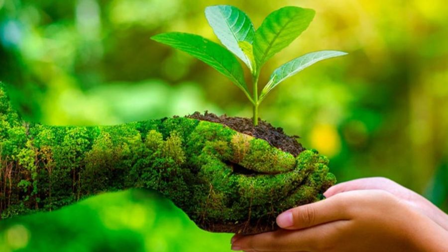 Peran Dinas Lingkungan Hidup dalam Mewujudkan Tata Kelola Lingkungan Berkelanjutan