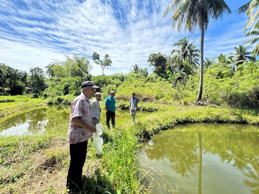 PLN UIP3B Sumatera Siap Salurkan Electrifying Agriculture, Harapan Baru Pembudidaya Ikan di Padang Pariaman