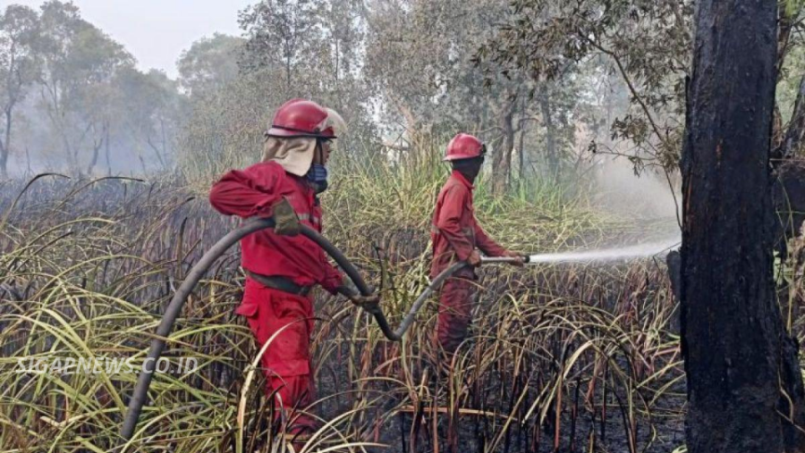 Polemik Honor Rp150 Ribu Relawan Karhutla, Pembayaran Tertunda