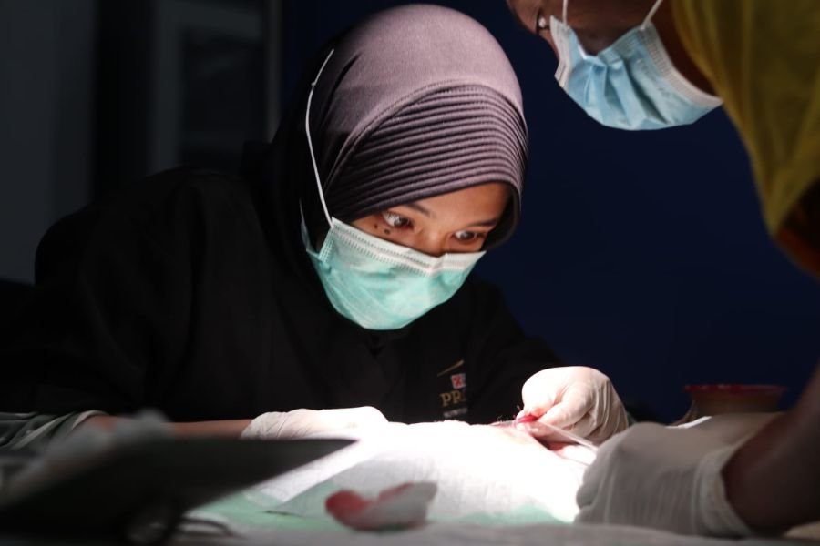 Polri Sterilisasi 34 Kucing, Tekan Populasi dan Cegah Rabies