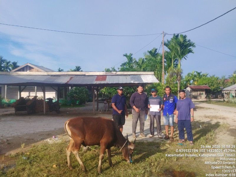 PT Arara Abadi dan  Mitra Pemasok APP GroupSalurkan 58 Hewan Kurban untuk Warga