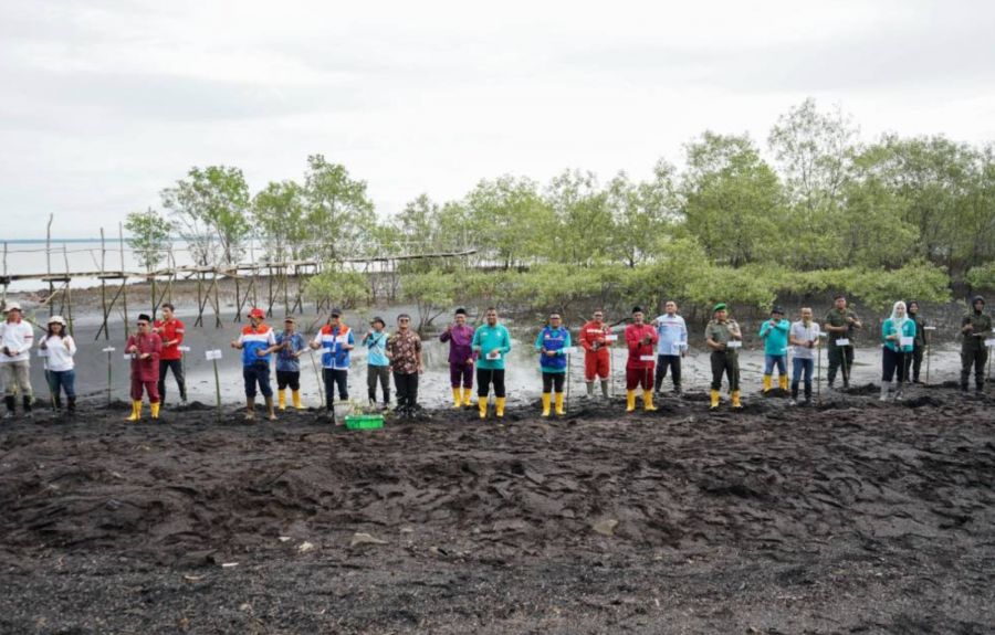 Rayakan Hari Mangrove Sedunia, Pemko Dumai Tanam 2000 Pohon untuk Pesisir yang Lebih Tangguh