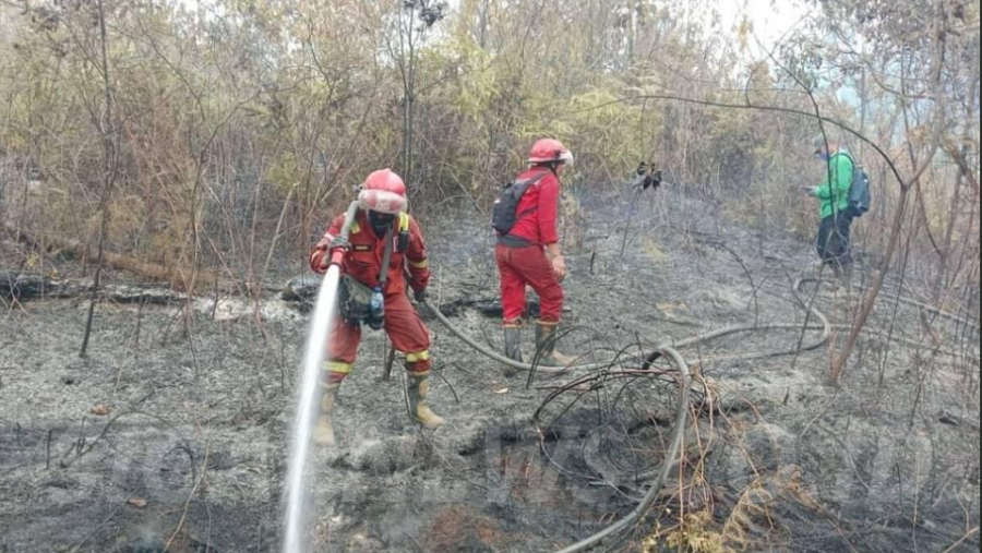 Riau Membara, 491 Hotspot Picu Ancaman Kabut Asap Lintas Negara